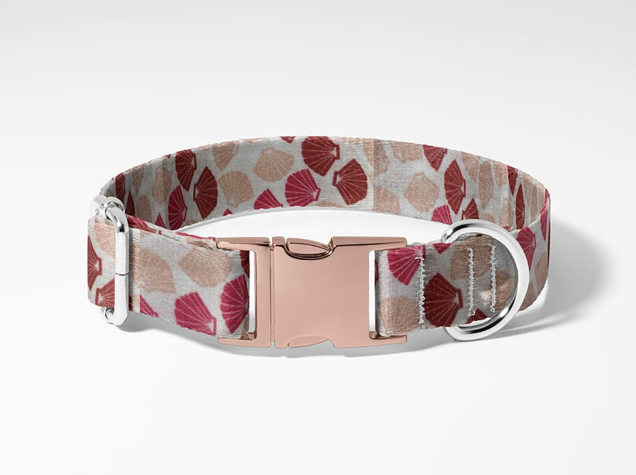 Collier pour chien Coquillage