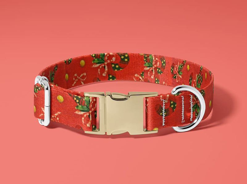 Collier pour chien Douceur de Canne