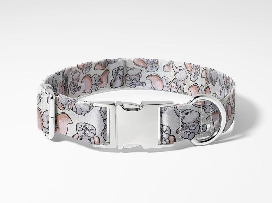 Collier pour chien Dumbo