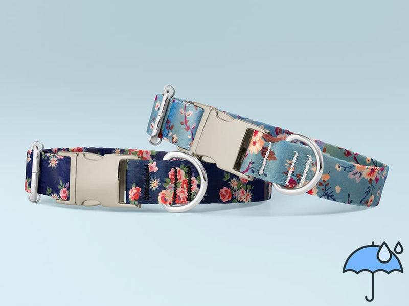 Collier personnalisé pour chien imperméable Éclat Floral