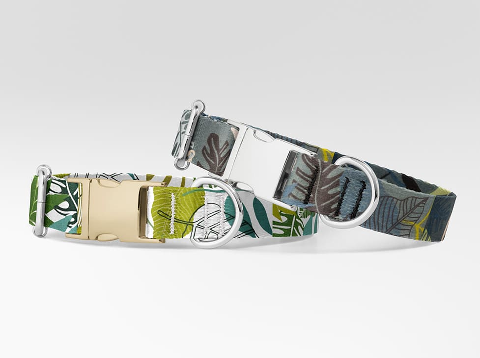 Collier pour chien Feuille Verte