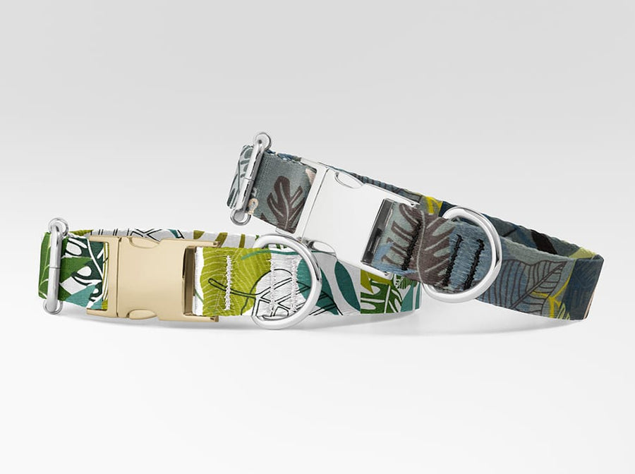 Collier pour chien Feuille Verte