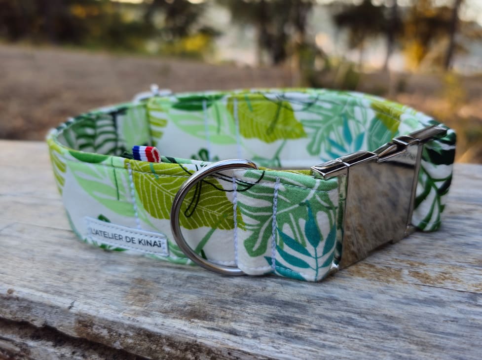 Collier personnalisé pour chien nature