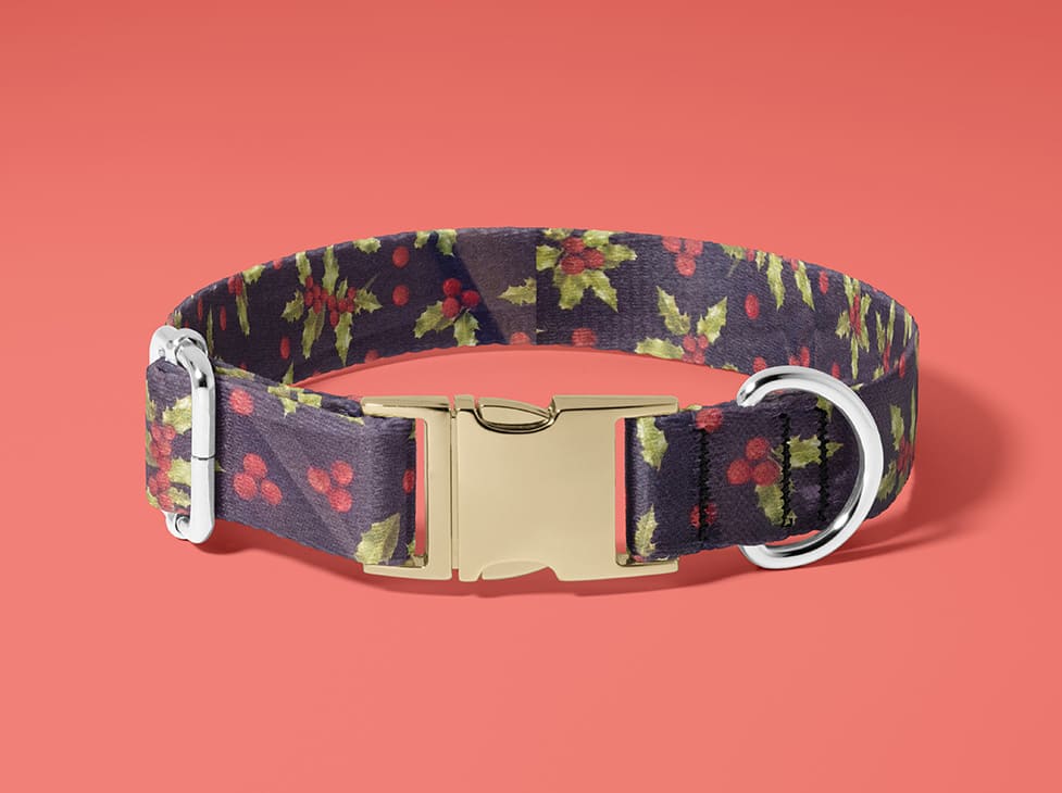 Collier pour chien Houx