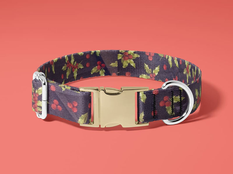 Collier pour chien Houx