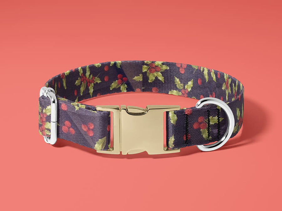 Collier pour chien Houx
