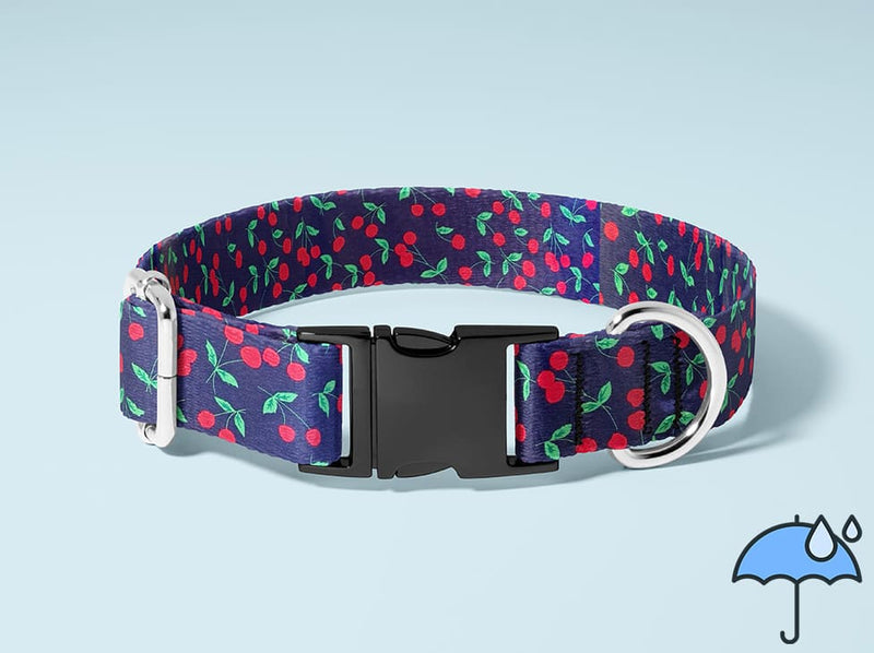 Collier personnalisé pour chien imperméable Cerise