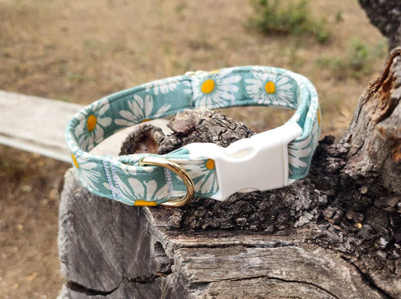 Collier pour chien marguerite