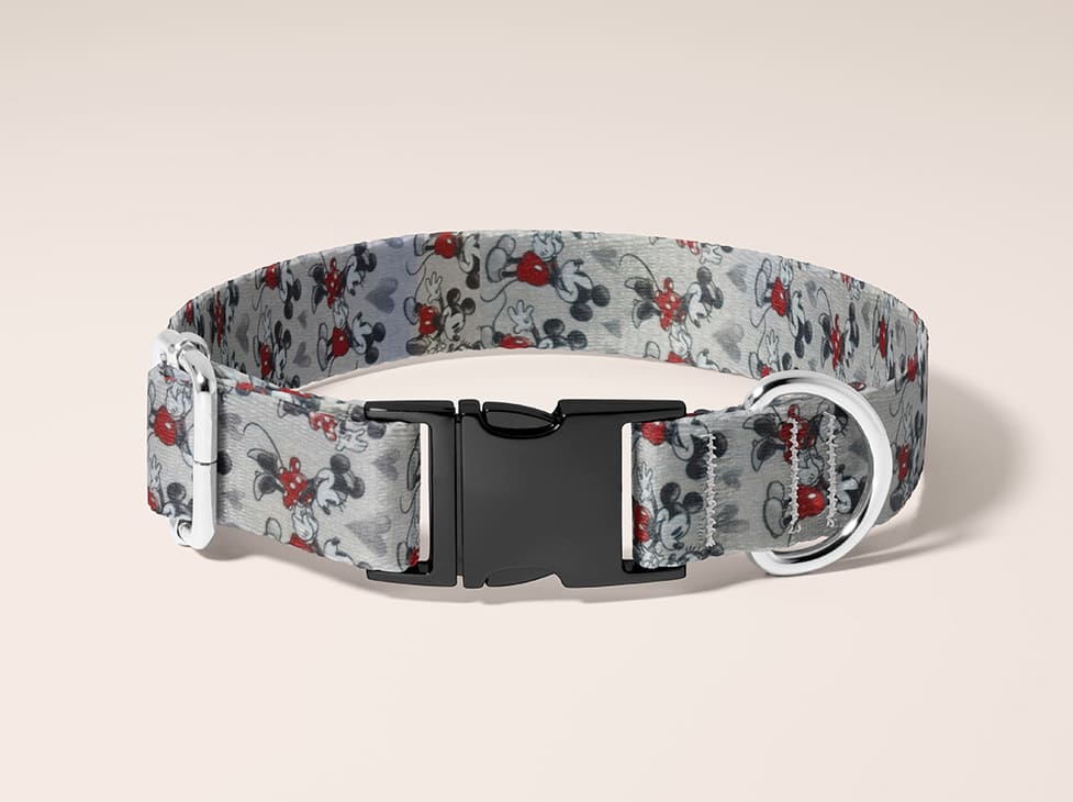 Collier pour chien Mickey