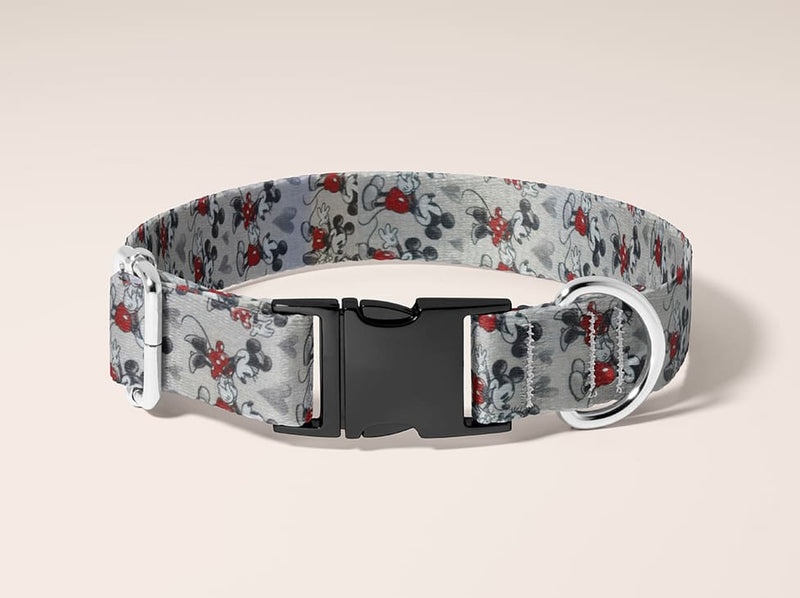 Collier pour chien Mickey