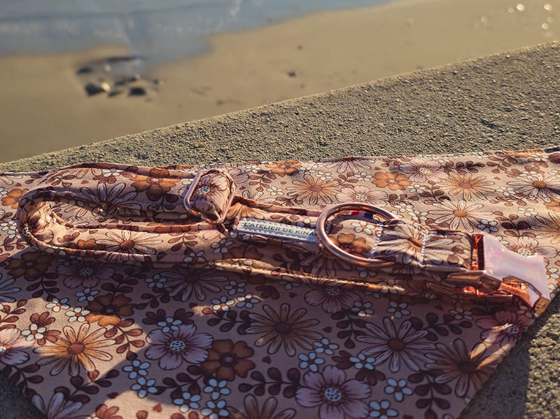 Collier et bandana pour chien paquerette