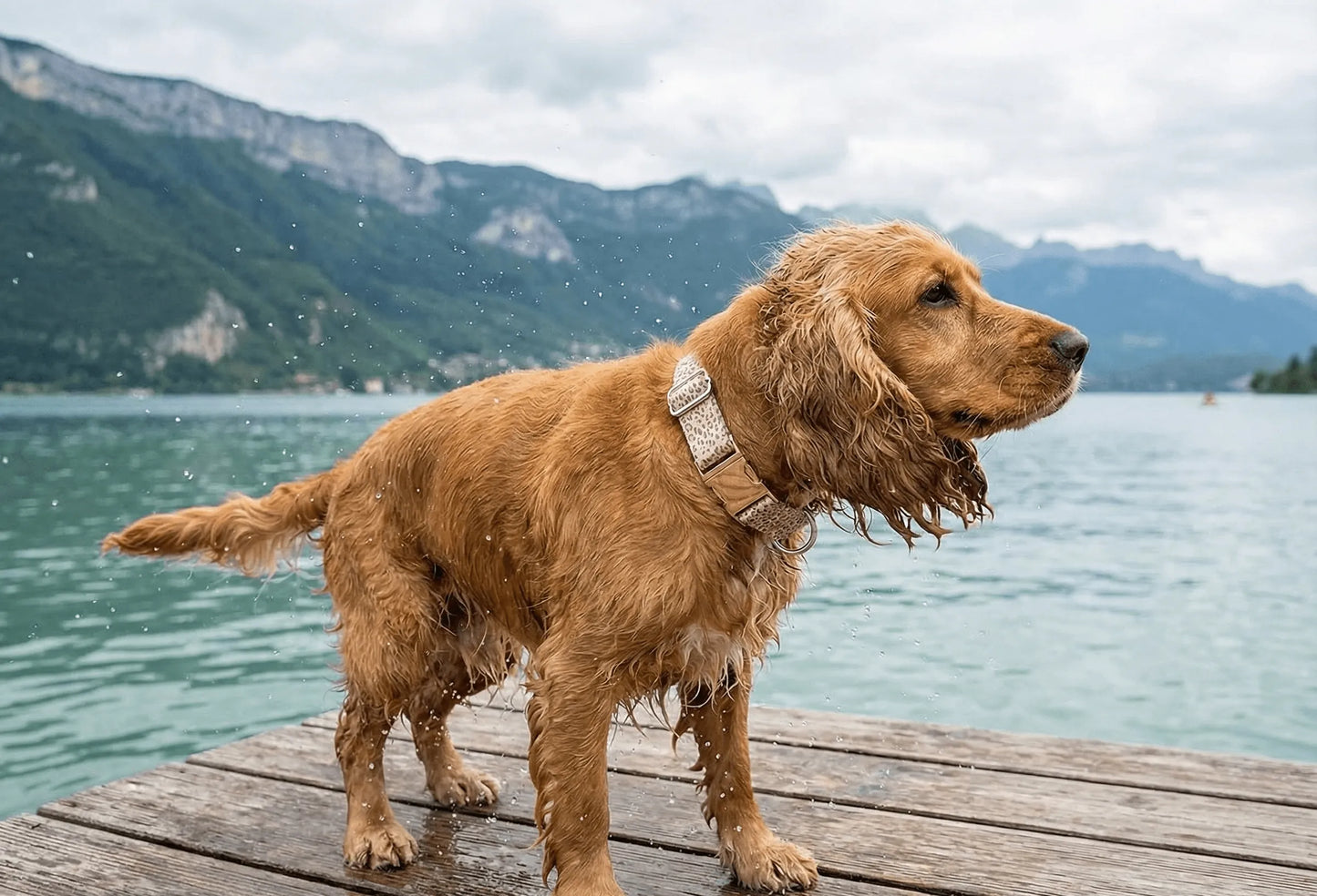 Collier personnalisé pour chien Léopard