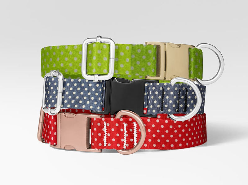 Collier personnalisé pour chien pois