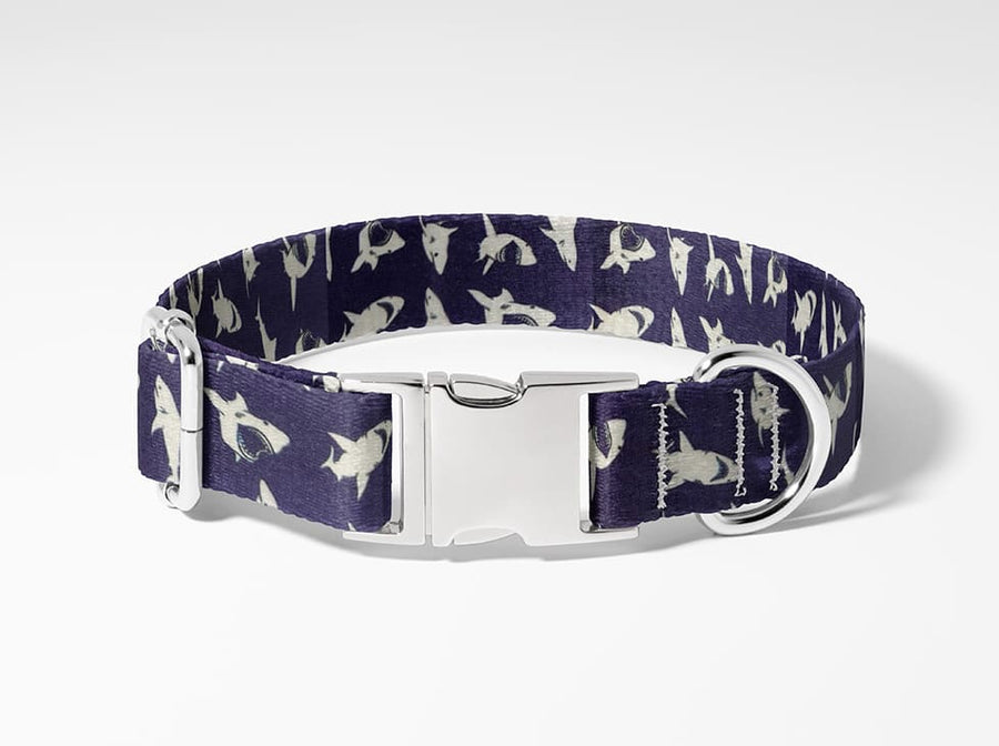 Collier pour chien Requin