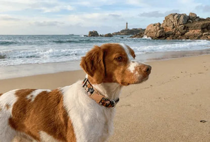 Collier personnalisé pour chien Sakura