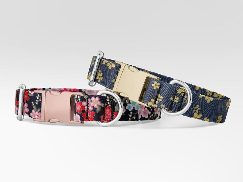 Collier personnalisé pour chien Sakura