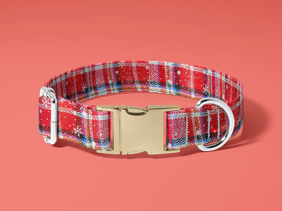 Collier pour chien Tartan des Neiges