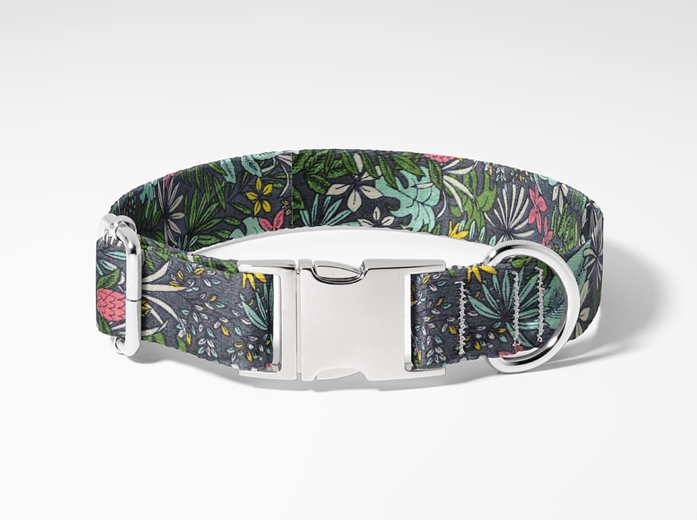 Collier pour chien Tropical