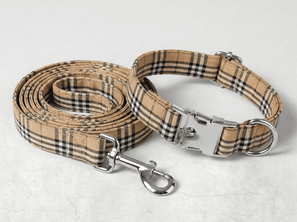 Kit collier et laisse personnalisé pour chien