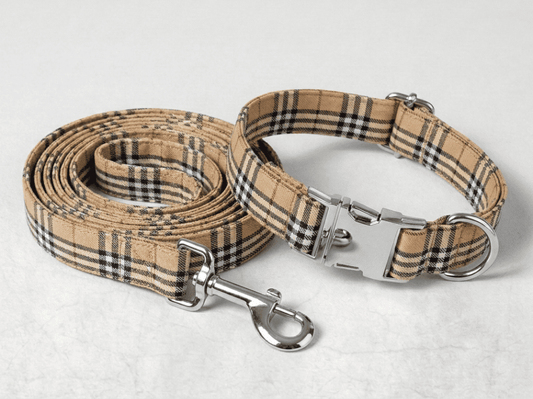 Kit collier et laisse personnalisé pour chien