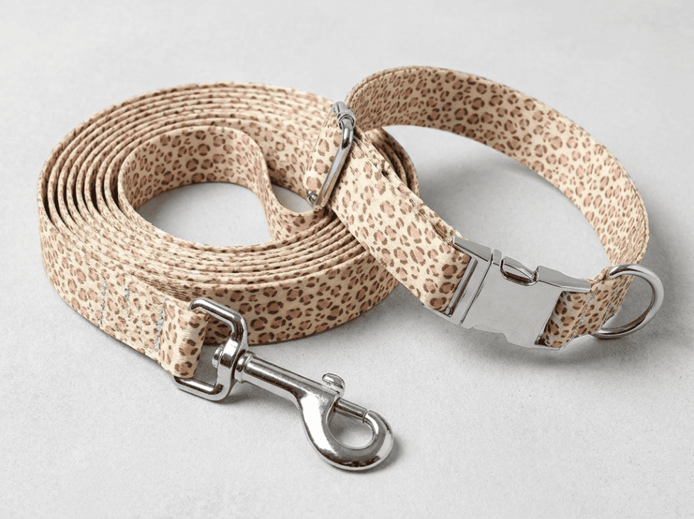 Kit collier + laisse pour chien personnalisé