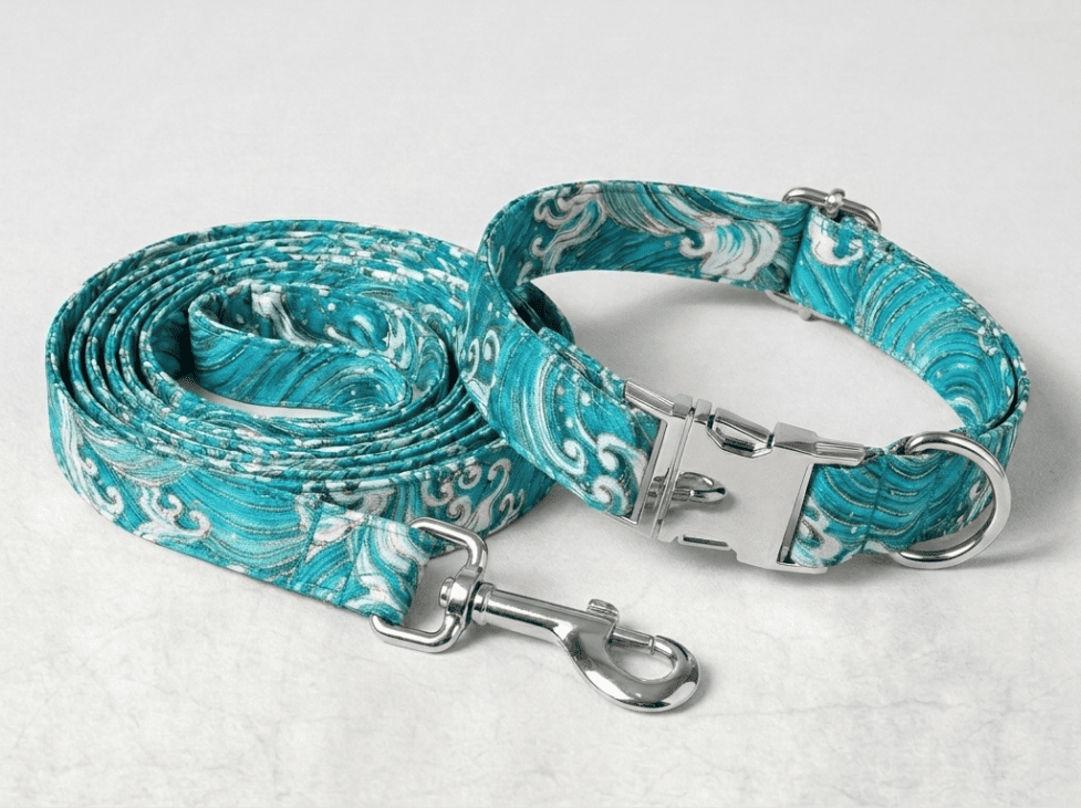 Kit collier + laisse pour chien personnalisé