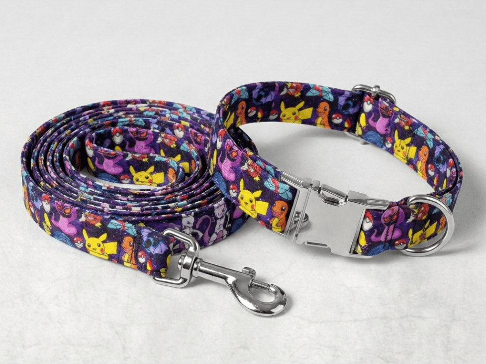Kit collier + laisse pour chien personnalisé