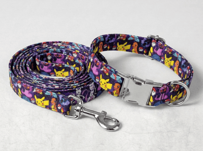 Kit collier + laisse pour chien personnalisé