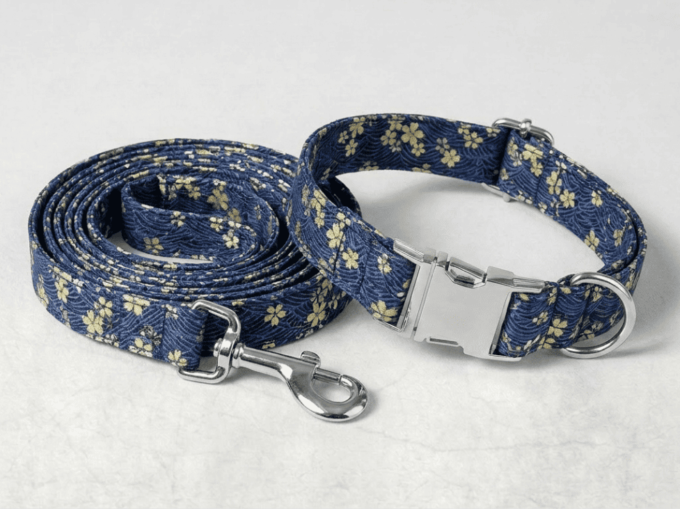 Kit collier + laisse pour chien personnalisé