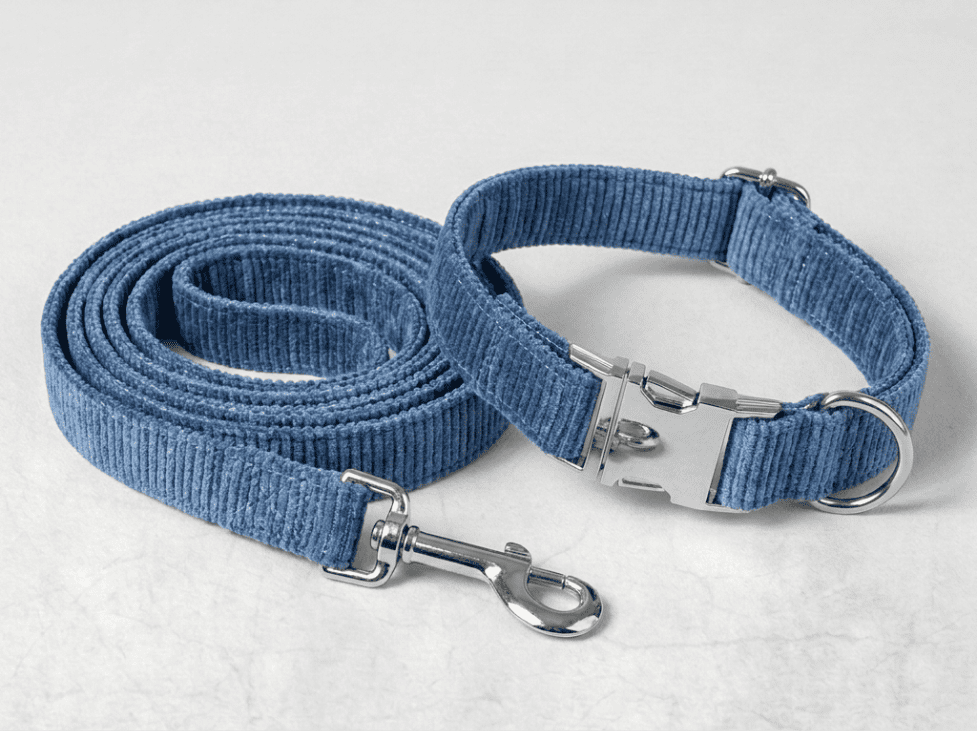 Kit collier + laisse pour chien personnalisé