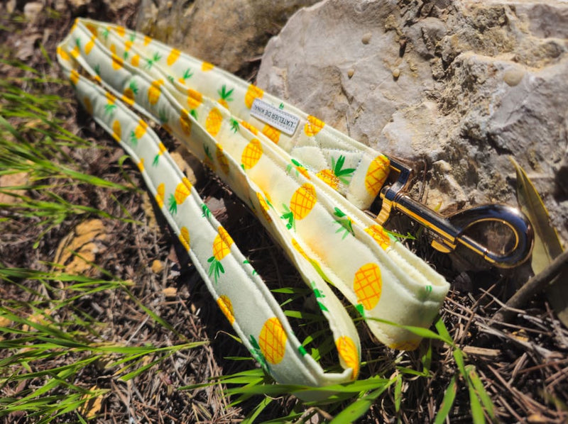 laisse chien ananas