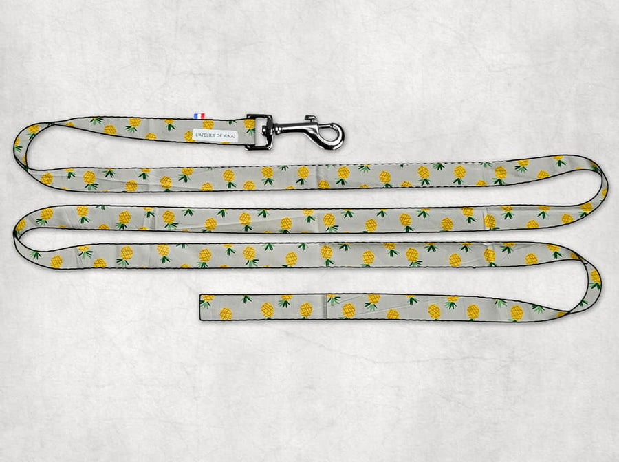 Laisse pour chien Ananas