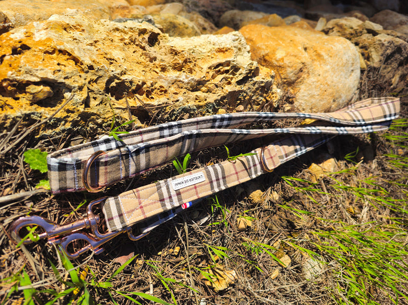 laisse chien carreaux