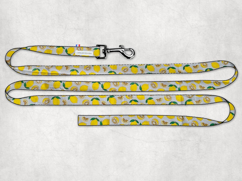 Laisse personnalisée pour chien citron