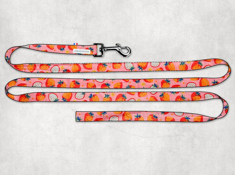 Laisse personnalisée pour chien fraise